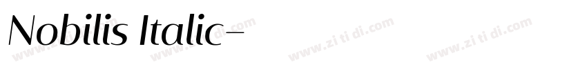 Nobilis Italic字体转换